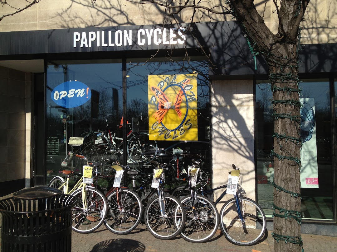 Papillon Cycles