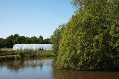 Ferme bio de Kerdelam à Ploemel