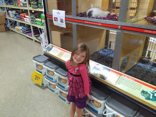 Pet Supply Store «PetSmart», reviews and photos, 1042 Fairplain Dr, Benton Harbor, MI 49022, USA