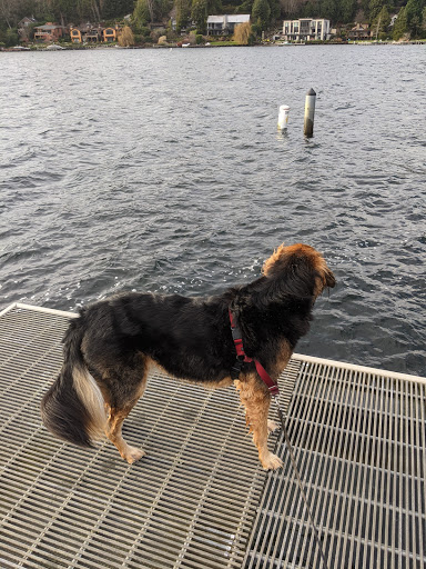 Park «Clyde Beach Park», reviews and photos, 2 92nd Ave NE, Bellevue, WA 98004, USA