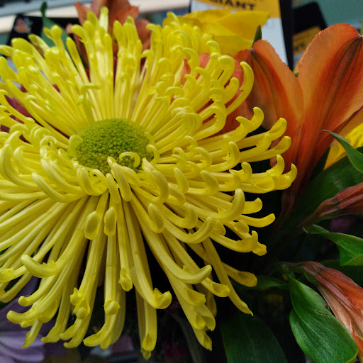 Grocery Store «Giant Food Stores», reviews and photos, 1465 W Broad St, Quakertown, PA 18951, USA