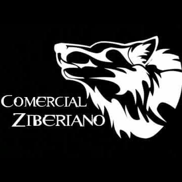 Opiniones de Automotriz Comercial Ziberiano en Arica - Taller de reparación de automóviles