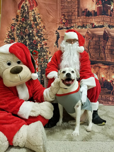 Pet Supply Store «PetSmart», reviews and photos, 4900 Monticello Ave, Williamsburg, VA 23188, USA