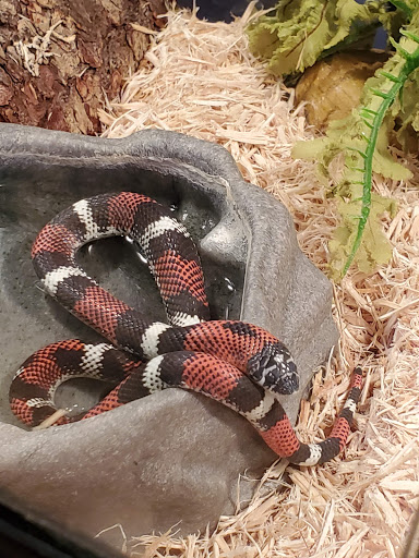 Pet Store «A Family Pet Center», reviews and photos, 6230 N Lockwood Ridge Rd, Sarasota, FL 34243, USA