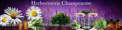 HERBORISTERIE CHAMPENOISE - Laboratoire à Bouilly