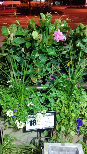 Shopping Mall «Park Ridge Shopping Center», reviews and photos, 2725 W Main St, Eagleville, PA 19403, USA