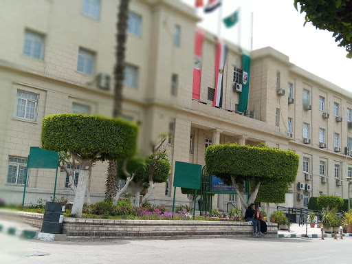 Faculty Of Economics & Political Sciences French Section - Cairo University