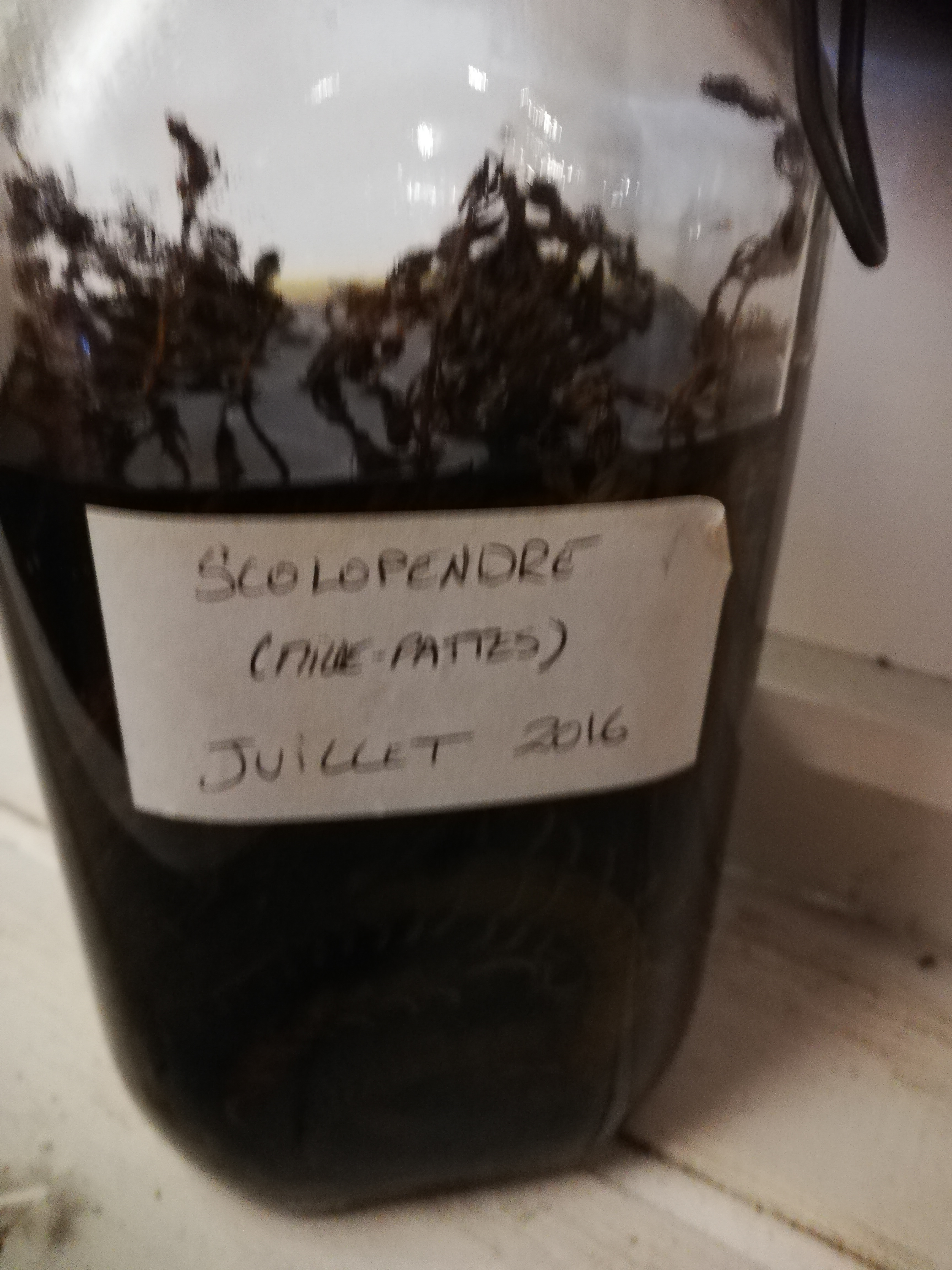 Photo n° 11 de l'avis de Frédéric.a fait le 28/03/2022 à 17:53