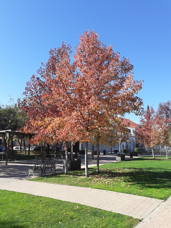 Parque del Agua
