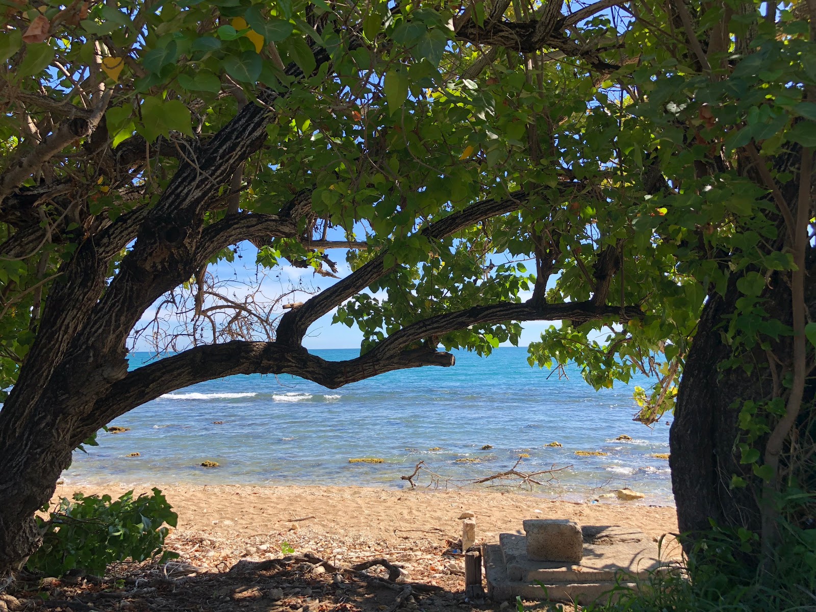 Φωτογραφία του Playa Parada Vista al Mar με καθαρό νερό επιφάνεια