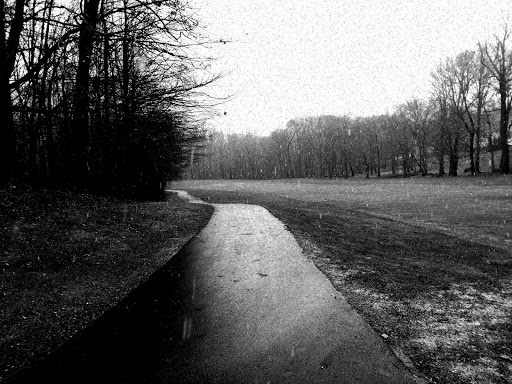 Golf Course «Whitney Farms Golf Course», reviews and photos, 175 Shelton Rd, Monroe, CT 06468, USA