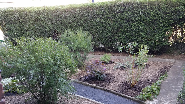 Reviews of GIO Landscapes in Maidstone - Landscaper