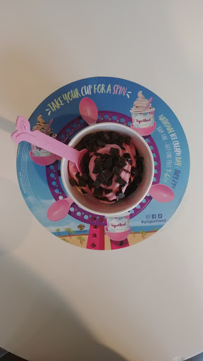 Frozen Yogurt Shop «Yogurtland», reviews and photos, 3056 NJ-10, Denville, NJ 07834, USA