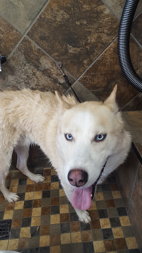 Pet Supply Store «Pet Valu», reviews and photos, 30997 Five Mile Road, Livonia, MI 48154, USA