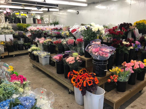 Florist «San Antonio Flower Co», reviews and photos, 7538 Broadway St, San Antonio, TX 78209, USA