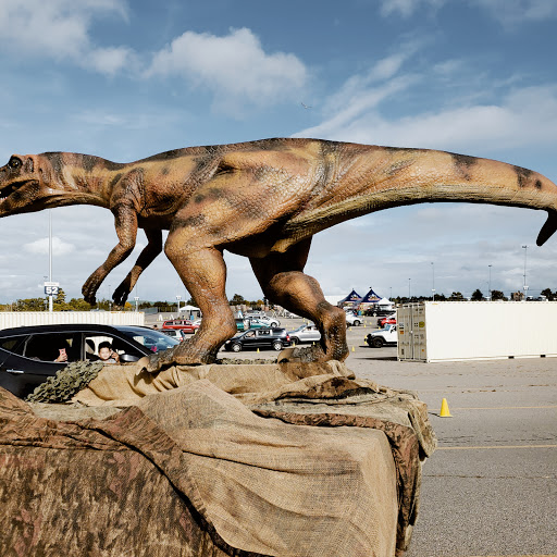 Shopping Mall «Patriot Place», reviews and photos, 2 Patriot Pl, Foxborough, MA 02035, USA