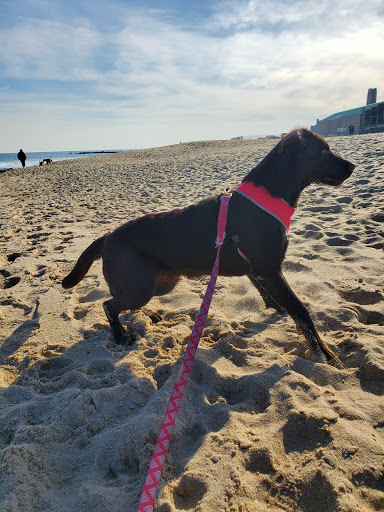 Water Park «Asbury Splash Park», reviews and photos, 915 Ocean Ave, Asbury Park, NJ 07712, USA