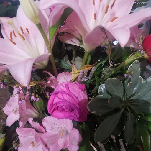 Florist «Petite Flower Shop», reviews and photos, 1501 Harry Wurzbach Rd, San Antonio, TX 78209, USA