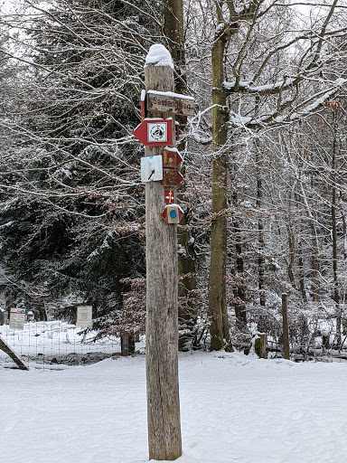 Wildparkstraße Parkplatz