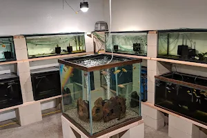 Nolan's Aquarium image