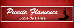 École de Danse Puente Flamenco Salon-de-Provence