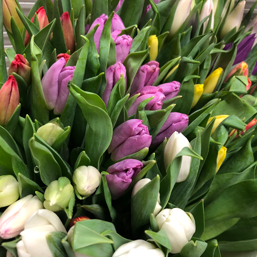 Flower Designer «Windsor Florist», reviews and photos, 201 W Main St, Mesquite, TX 75149, USA