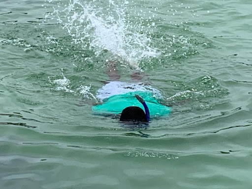 Boat Tour Agency «Dolphin Snorkeling Cruise», reviews and photos, 4630 29th Ave S, Gulfport, FL 33711, USA