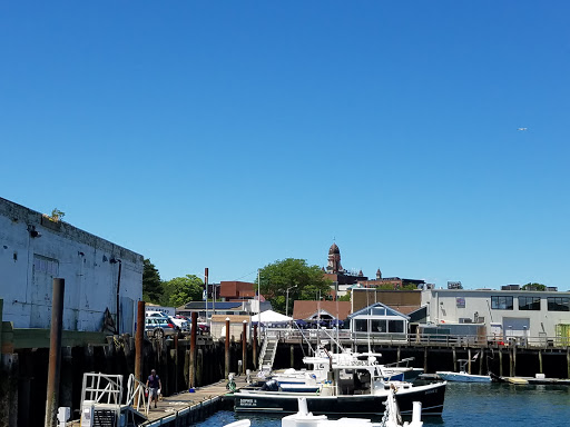 Cruise Agency «Capt. Bill & Sons Whale Watch», reviews and photos, 24 Harbor Loop, Gloucester, MA 01930, USA