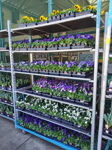 Home Improvement Store «The Home Depot», reviews and photos, 300 Trotters Way, Freehold, NJ 07728, USA