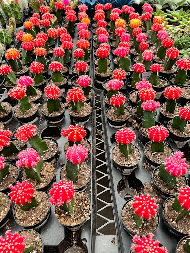 Home Improvement Store «The Home Depot», reviews and photos, W 12871 I-10, San Antonio, TX 78249, USA