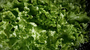 Photo n°11 de Eat Salad à Tours ()