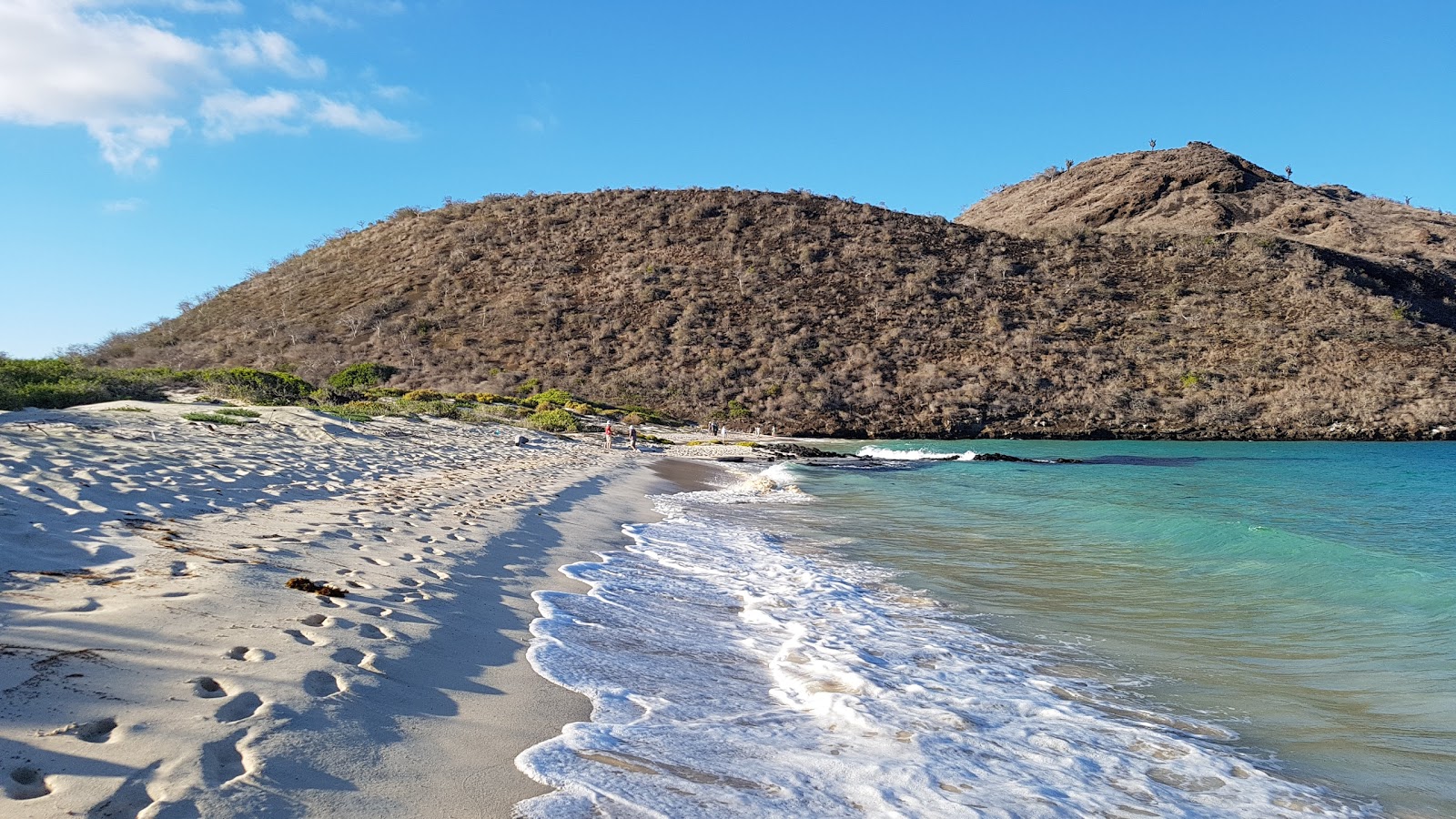 Fotografija Punta Cormorant z svetel pesek površino