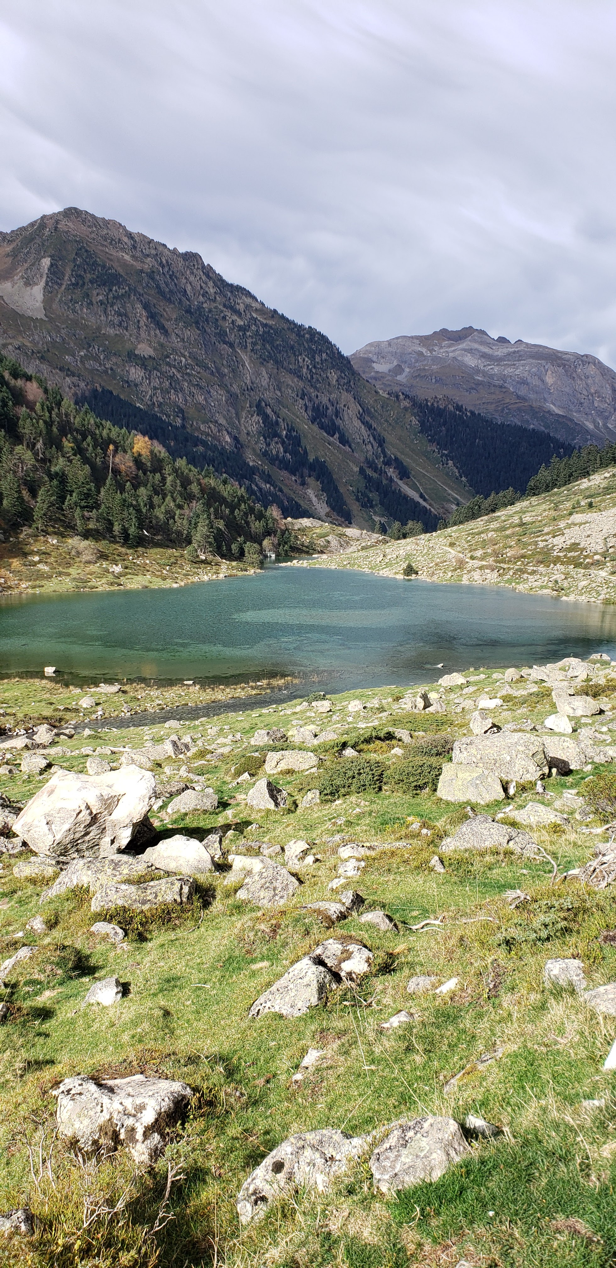 Photo n° 1 de l'avis de sisilia.a fait le 30/10/2022 à 08:52