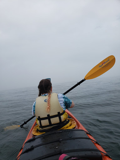 Tourist Information Center «Coastal Kayaking Tours Inc», reviews and photos, 48 Cottage St, Bar Harbor, ME 04609, USA