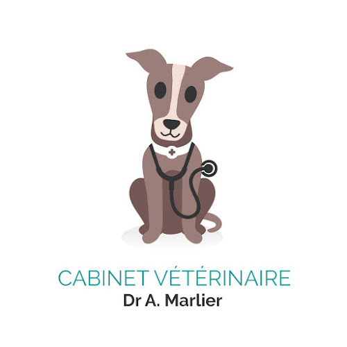 Vétérinaire Marlier Kambia - Nijvel