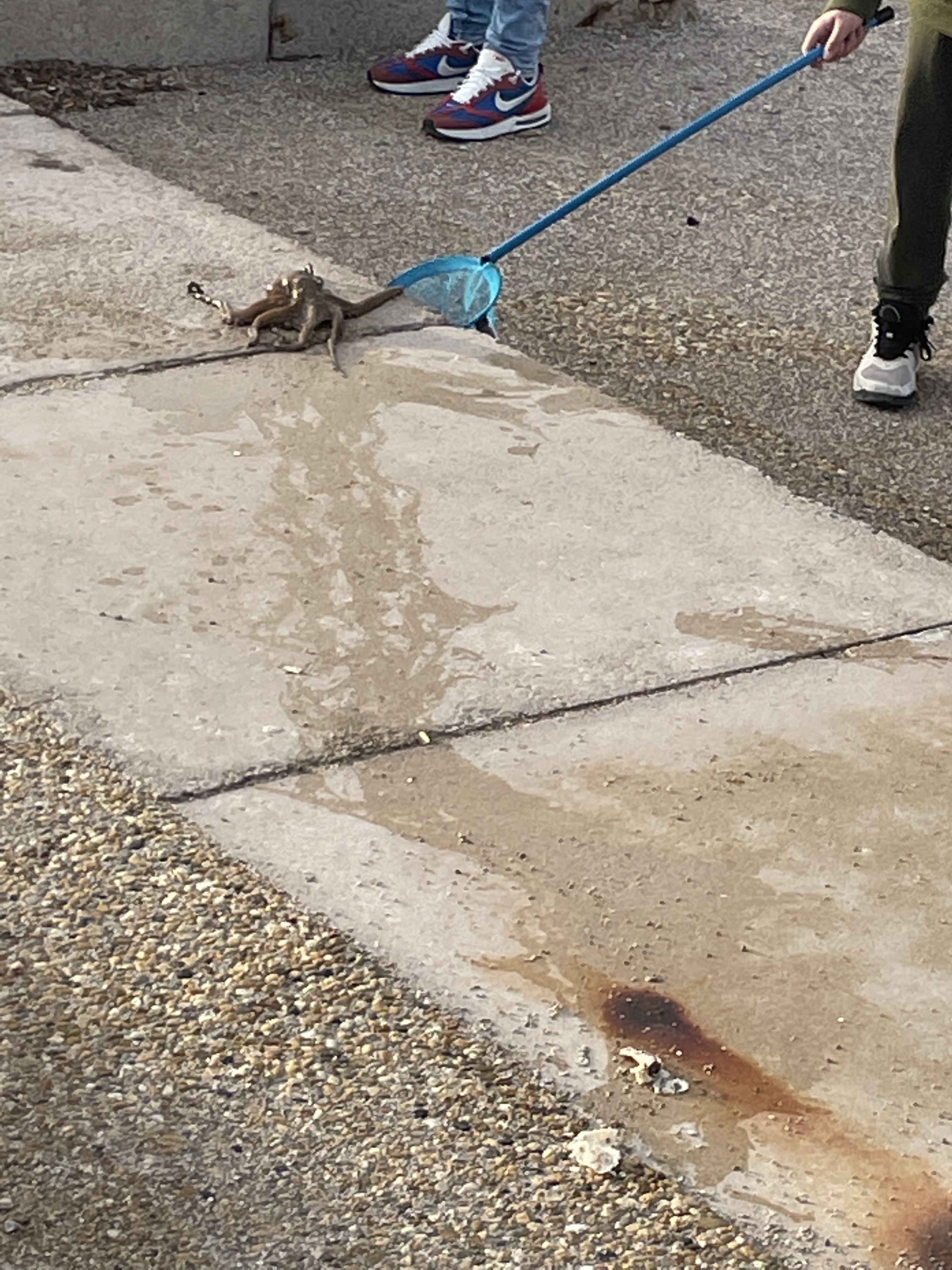 Photo n° 11 de l'avis de Tidjara.o fait le 03/01/2023 à 09:03