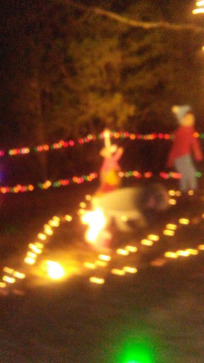 Tourist Attraction «Chads Winter Wonderland», reviews and photos, 791 Old Laguardo Rd E, Lebanon, TN 37087, USA