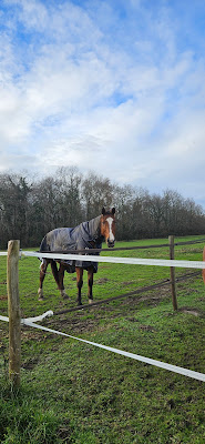 HARAS DE L'OLIVIER à Cissac-Médoc
