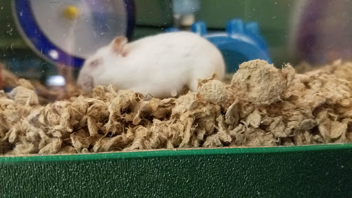 Pet Supply Store «Pet Supplies Plus», reviews and photos, 1377 N 21st St, Newark, OH 43055, USA