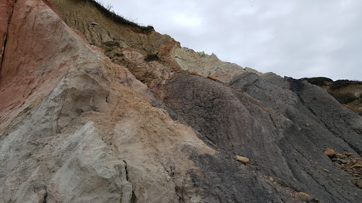 Market «Rosewater Market», reviews and photos, 20 S Summer St, Edgartown, MA 02539, USA