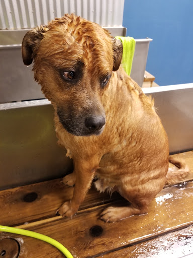 Pet Store «The Pet Works», reviews and photos, 407 4th Ave E, Olympia, WA 98501, USA