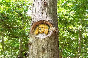 Tom Rhodes Tree Carving Trail image