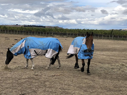 nztack Horse Covers and Rugs