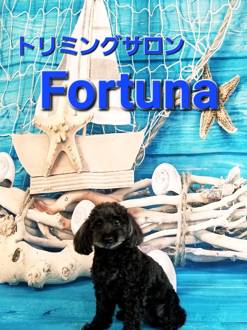 Fortuna（フォルトゥナ）