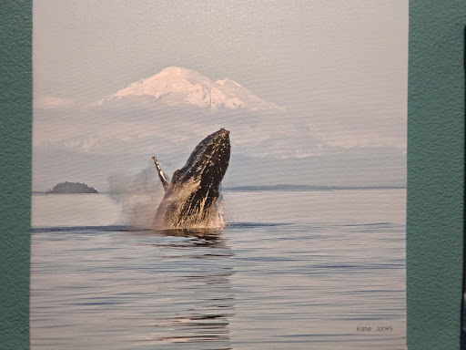 Art Museum «The Island Museum of Art», reviews and photos, 540 Spring St, Friday Harbor, WA 98250, USA