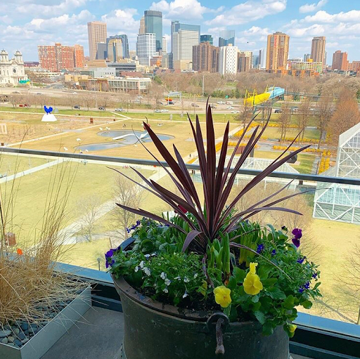 Florist «Arts & Flowers Inc», reviews and photos, 6011 Excelsior Blvd, Minneapolis, MN 55416, USA