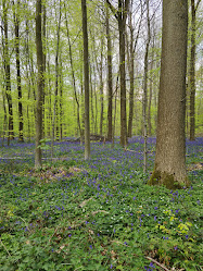 Hallerbos Parking 4