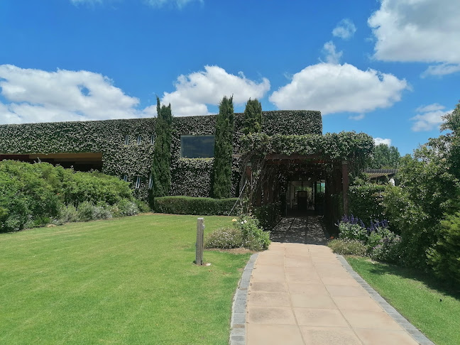 The Vine Bistro - Bar