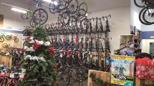 Bicycle Store «Sun & Ski», reviews and photos, 2943 Preston Rd #1400, Frisco, TX 75034, USA
