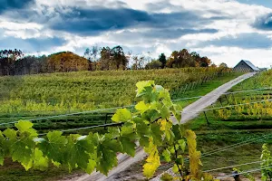 Dablon Winery & Vineyards image
